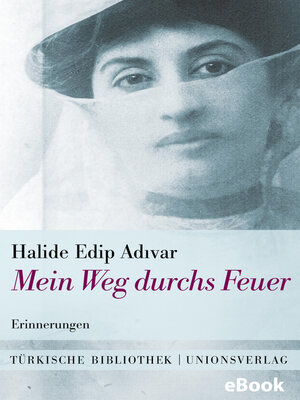 cover image of Mein Weg durchs Feuer